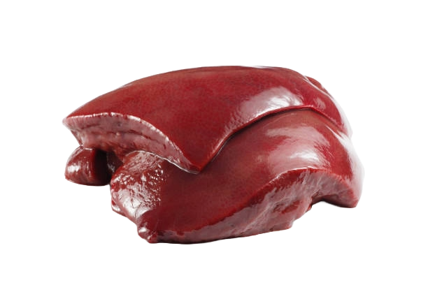 Pork Liver