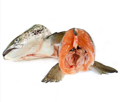 Salmon Heads